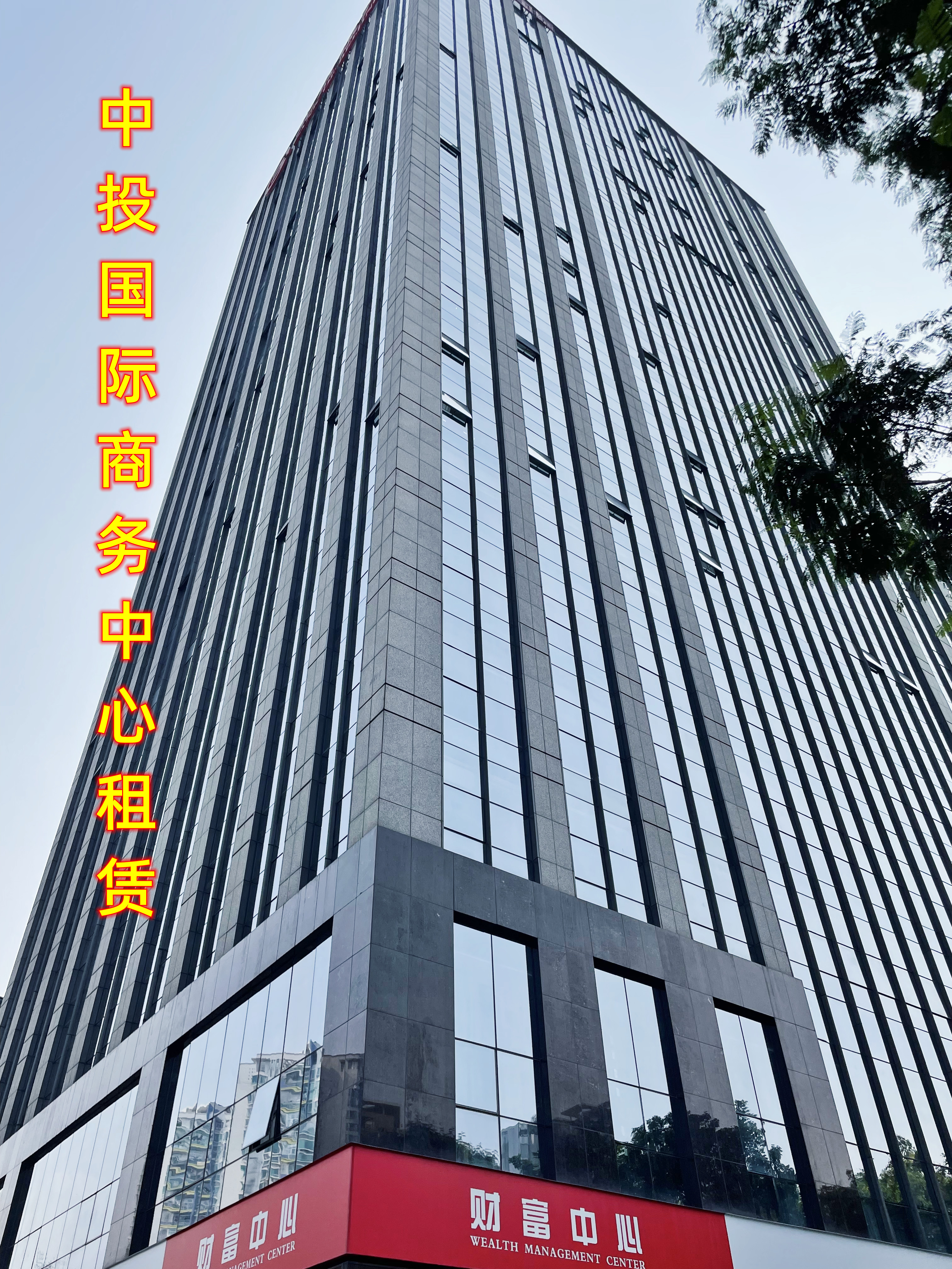 全景